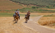 Israel-North-On Horseback in the Land of Galilee